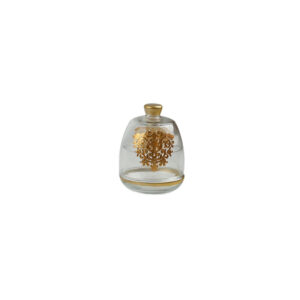 Cloche Amira